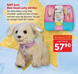 Interspar BABY born Mein Hund Lucky mit Box Angebot
