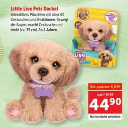Interspar Little Live Pets Dackel Angebot