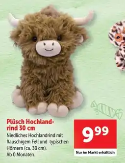 Interspar Plüsch Hochland-rind Angebot