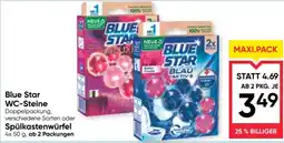 Maximarkt Blue Star WC-Steine Angebot