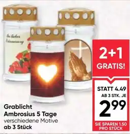 Maximarkt Grablicht Ambrosius 5 Tage Angebot