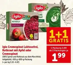Interspar Iglo Cremespinat Laktosefrei, Rotkraut mit Apfel oder Cremespinat Angebot
