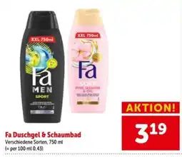 Interspar Fa Duschgel & Schaumbad Angebot