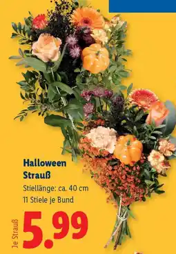 Lidl Halloween Strauß Angebot
