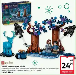 Maximarkt LEGO Harry Potter Verbotener Wald Angebot