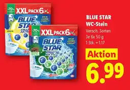 Lidl Blue Star WC-Stein Angebot