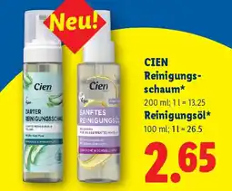Lidl Cien Reinigungsschaum Angebot