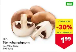 MPreis Bio Steinchampignons Angebot