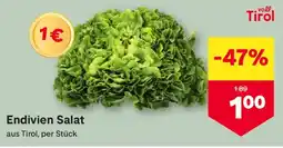 MPreis Endivien Salat aus Tirol Angebot
