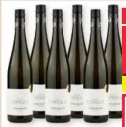 Maximarkt Ebinger Grüner Veltliner Classic Angebot