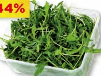 Unimarkt Rucola Angebot