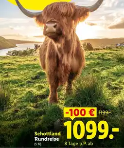 Lidl Reisen Schottland Rundreise Angebot