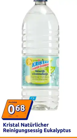Action Kristal Natürlicher Reinigungssessig Eukalyptus Angebot