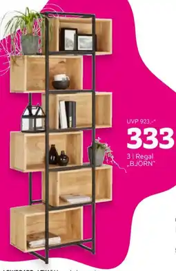 Mömax Regal „BJÖRN“ Angebot