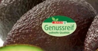 Spar Avocado Angebot