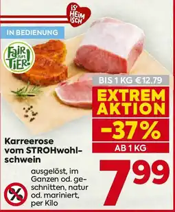 Billa Karreerose vom STROHwohlschwein Angebot