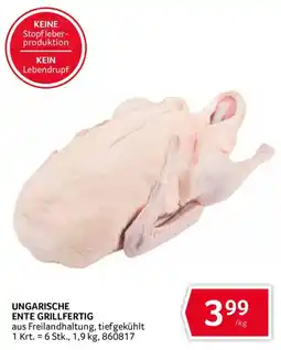 Transgourmet Ungarische Ente Grillfertig Angebot