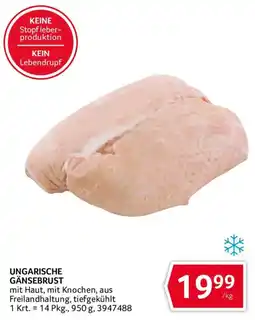 Transgourmet Ungarische Gänsebrust Angebot