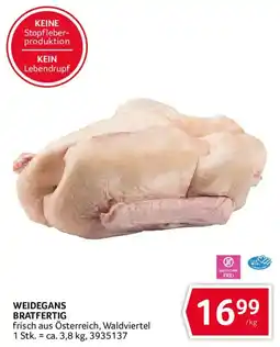 Transgourmet Weidegans Bratfertig Angebot
