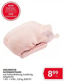 Transgourmet Ungarische Hafermastgans Angebot
