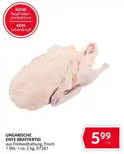Transgourmet Ungarische Ente Bratfertig Angebot
