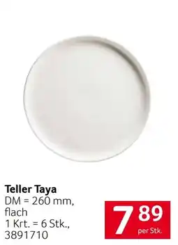 Transgourmet Teller Taya Angebot