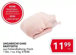 Transgourmet Ungarische Gans Bratfertig Angebot