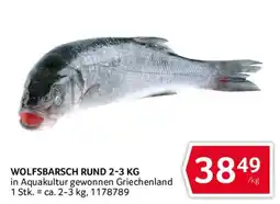 Transgourmet Wolfsbarsch Rund Angebot