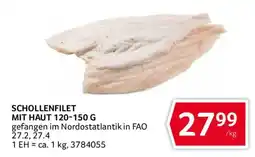Transgourmet Schollenfilet mit Haut Angebot