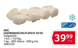Transgourmet MSC Jakobsmuschelfleisch 10/20 Angebot