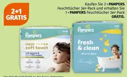 Müller Pampers Feuchttücher Angebot