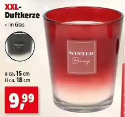 Thomas Philipps Winter Benny Duftkerze Angebot