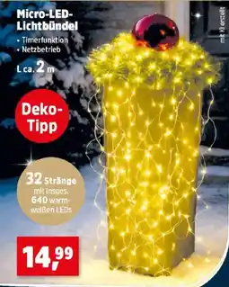 Thomas Philipps Micro-LED-Lichtbündel Angebot