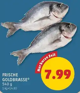 PENNY Frische Goldbrasse* Angebot