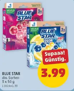 PENNY Blue Star Angebot