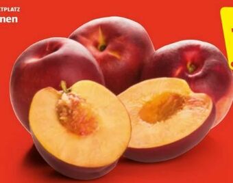 Hofer Nektarinen Angebot