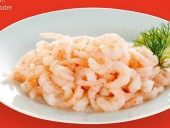 Hofer Garnelen Angebot