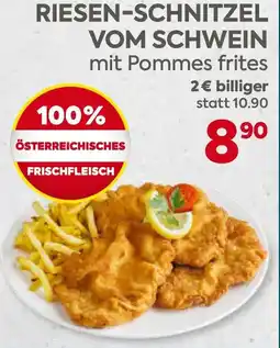 Billa Riesen-Schnitzel vom Schwein Angebot