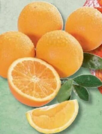 Metro Bio Orangen Angebot
