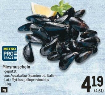 Metro Miesmuscheln Angebot