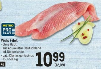 Metro Wels Filet 150-500g Angebot
