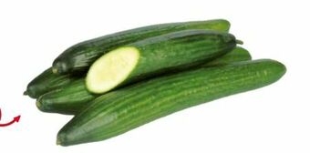 Transgourmet Gurken Angebot