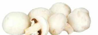 Transgourmet Champignons Angebot
