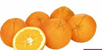 Transgourmet Bio Orangen Angebot