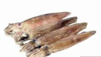 Transgourmet Kalmar Angebot