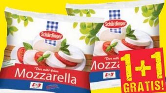 Maximarkt Mozzarella Angebot