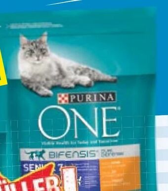Maximarkt One Katzennahrung Angebot
