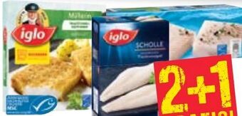Maximarkt Scholle Angebot
