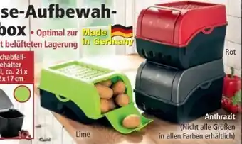 Norma Kartoffel-Gemüse Aufbewahrungsbox Angebot