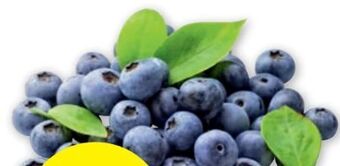 PENNY Heidelbeeren Angebot